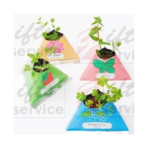 Reklamowe mini rośliny w opakowaniu papierowym