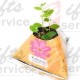 Reklamowe mini rośliny w opakowaniu papierowym